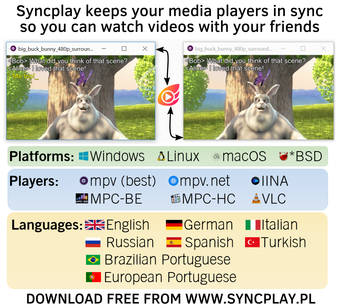 Download Syncplay